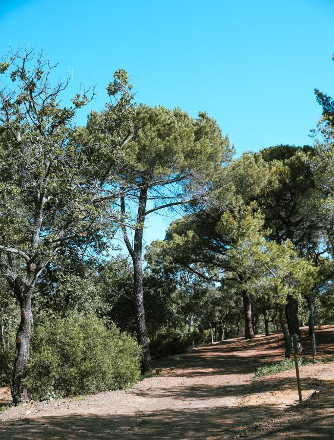 Camping Ladouceur Ramatuelle Exterior photo